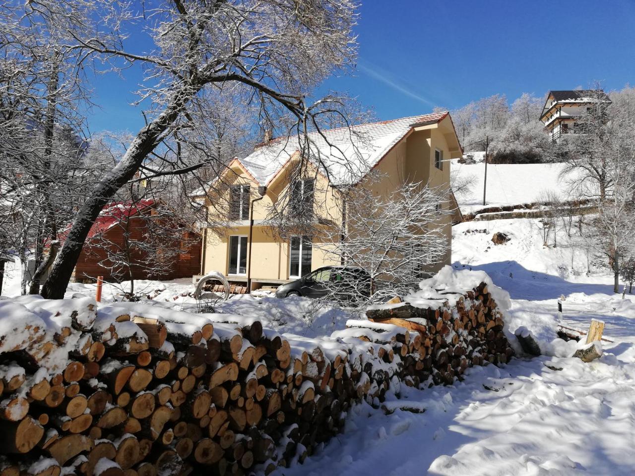 Vila Vrh Crni Vrh Exterior photo