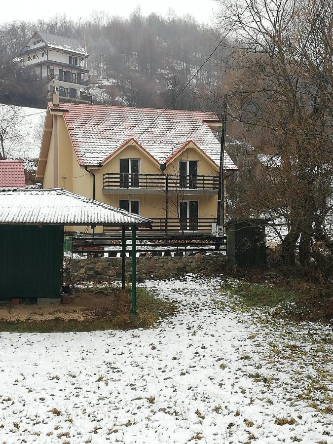 Vila Vrh Crni Vrh Exterior photo